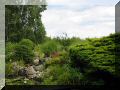 teich02.jpg
